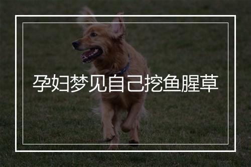 孕妇梦见自己挖鱼腥草