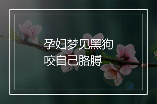 孕妇梦见黑狗咬自己胳膊