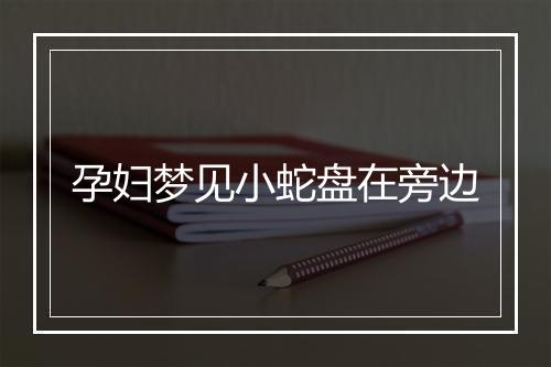 孕妇梦见小蛇盘在旁边