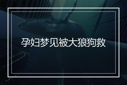 孕妇梦见被大狼狗救