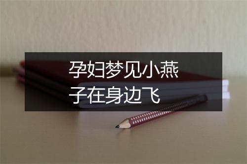 孕妇梦见小燕子在身边飞