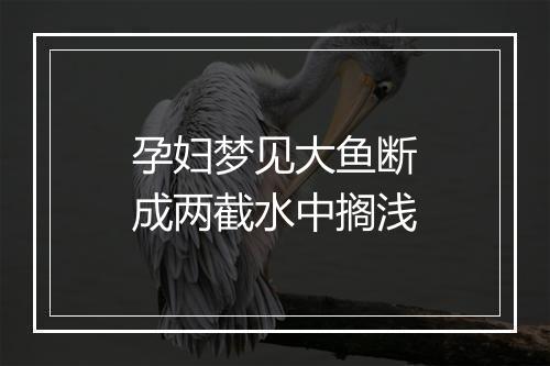 孕妇梦见大鱼断成两截水中搁浅