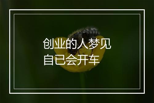 创业的人梦见自已会开车