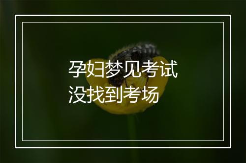 孕妇梦见考试没找到考场