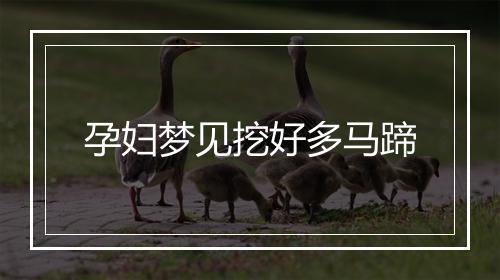 孕妇梦见挖好多马蹄