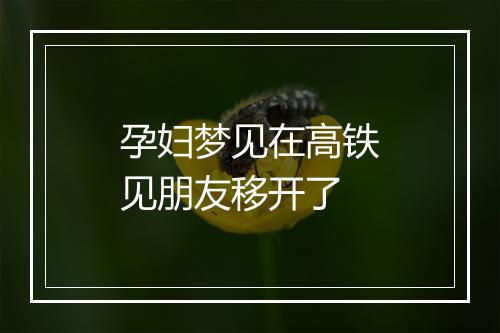 孕妇梦见在高铁见朋友移开了