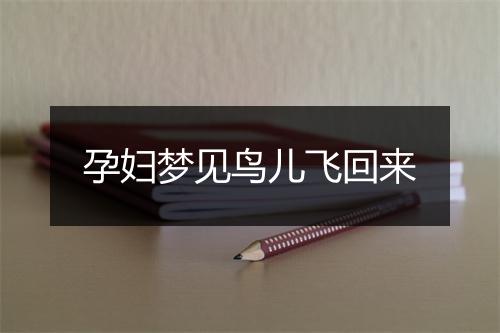 孕妇梦见鸟儿飞回来