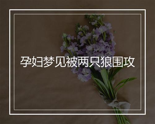 孕妇梦见被两只狼围攻