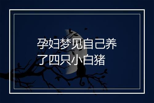 孕妇梦见自己养了四只小白猪