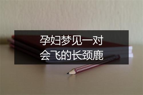 孕妇梦见一对会飞的长颈鹿