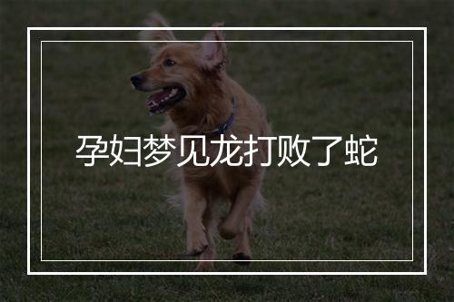 孕妇梦见龙打败了蛇