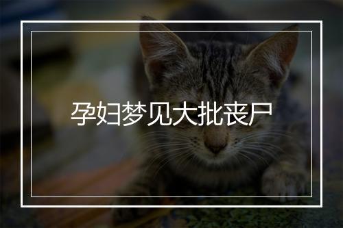 孕妇梦见大批丧尸