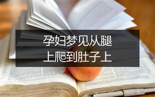 孕妇梦见从腿上爬到肚子上