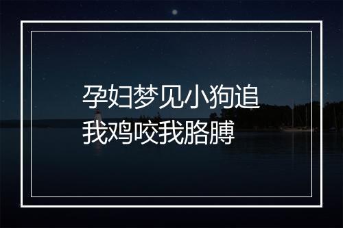 孕妇梦见小狗追我鸡咬我胳膊