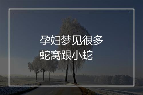 孕妇梦见很多蛇窝跟小蛇