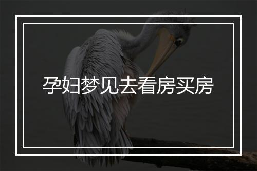 孕妇梦见去看房买房