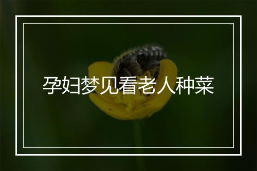 孕妇梦见看老人种菜