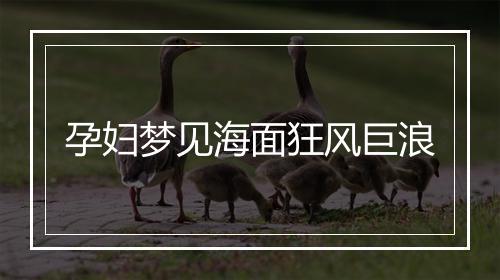 孕妇梦见海面狂风巨浪