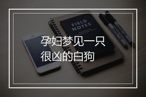 孕妇梦见一只很凶的白狗