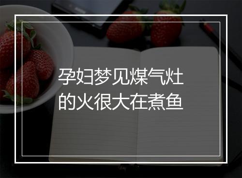 孕妇梦见煤气灶的火很大在煮鱼