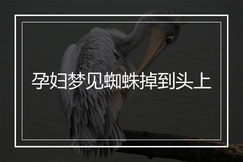 孕妇梦见蜘蛛掉到头上