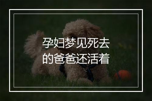 孕妇梦见死去的爸爸还活着