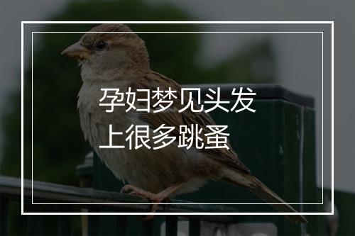 孕妇梦见头发上很多跳蚤