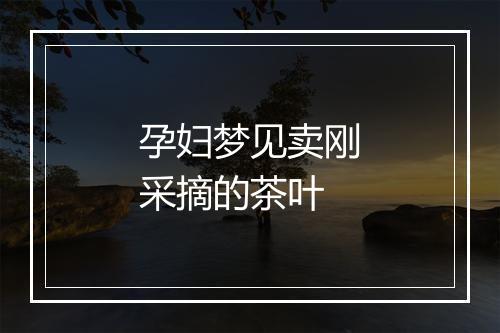 孕妇梦见卖刚采摘的茶叶