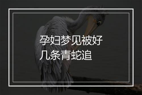 孕妇梦见被好几条青蛇追