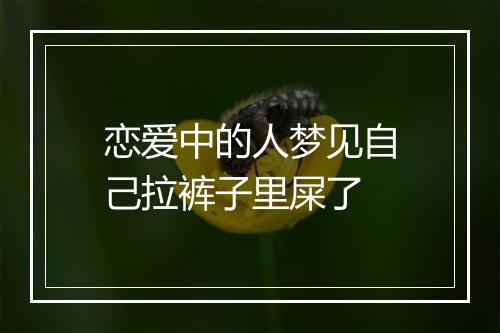 恋爱中的人梦见自己拉裤子里屎了