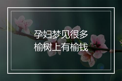 孕妇梦见很多榆树上有榆钱