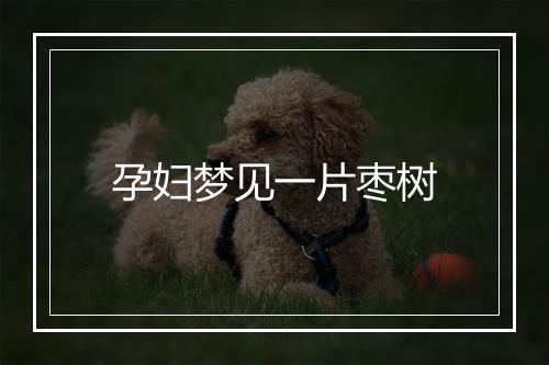 孕妇梦见一片枣树