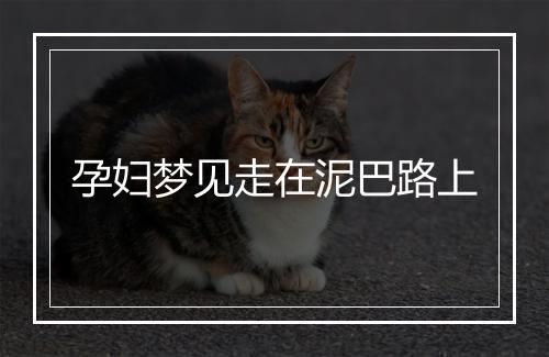 孕妇梦见走在泥巴路上