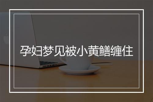 孕妇梦见被小黄鳝缠住