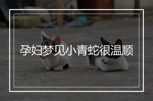 孕妇梦见小青蛇很温顺