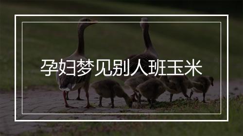 孕妇梦见别人班玉米