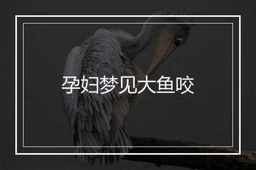 孕妇梦见大鱼咬