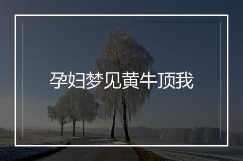 孕妇梦见黄牛顶我