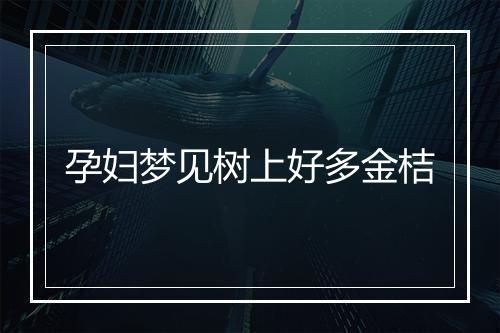 孕妇梦见树上好多金桔