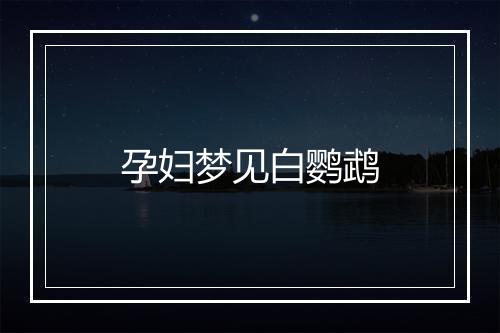 孕妇梦见白鹦鹉