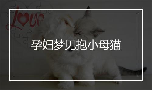 孕妇梦见抱小母猫