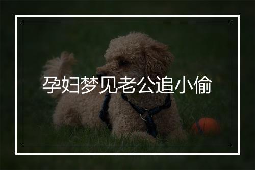 孕妇梦见老公追小偷