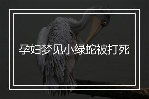 孕妇梦见小绿蛇被打死