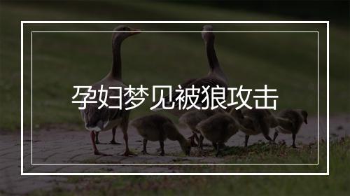 孕妇梦见被狼攻击