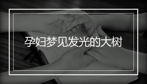 孕妇梦见发光的大树