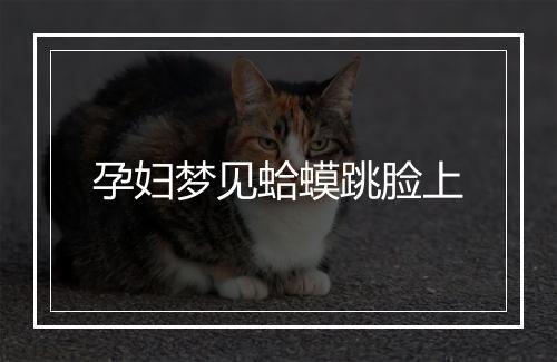 孕妇梦见蛤蟆跳脸上