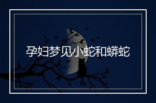 孕妇梦见小蛇和蟒蛇