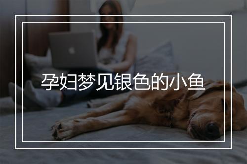 孕妇梦见银色的小鱼