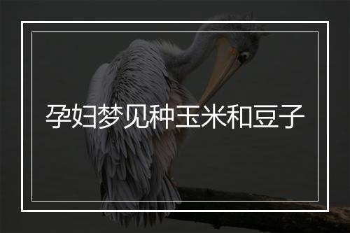 孕妇梦见种玉米和豆子