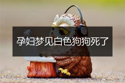 孕妇梦见白色狗狗死了